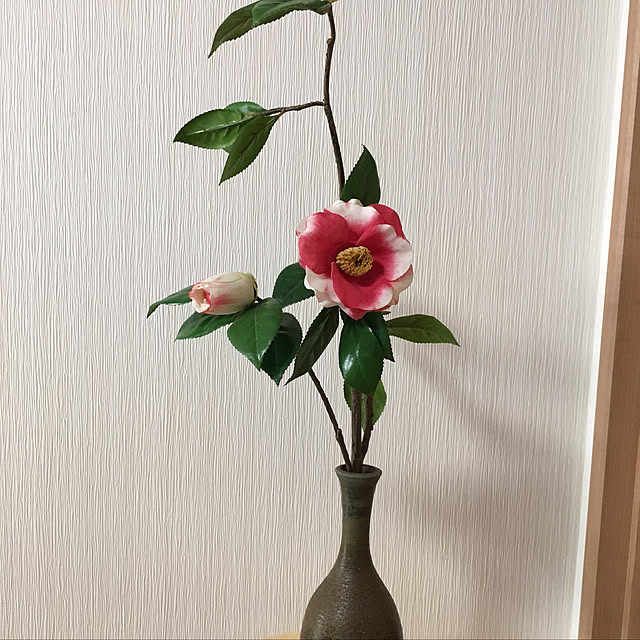 momokaさんの実例写真