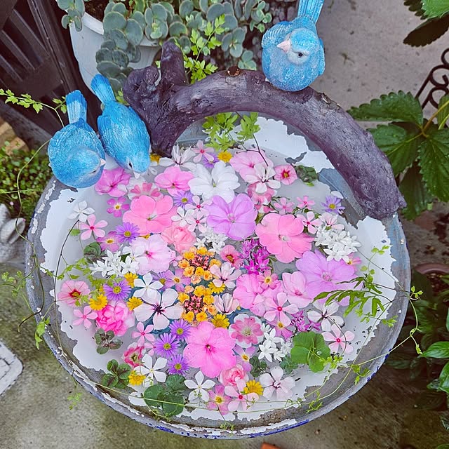 mocomocoさんの実例写真