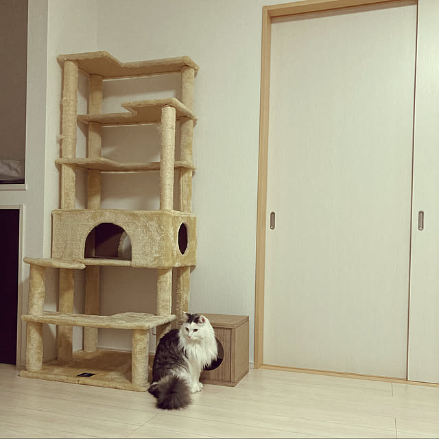 aiさんの実例写真