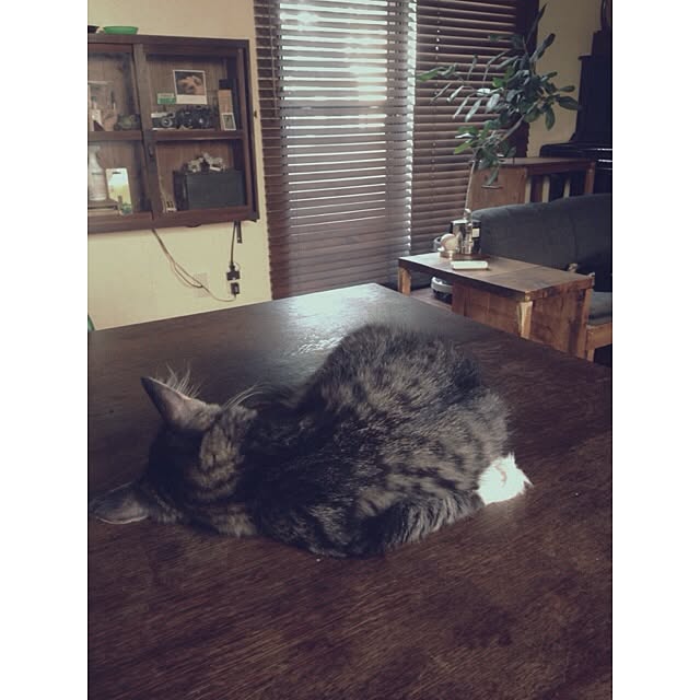 jnkaiさんの実例写真