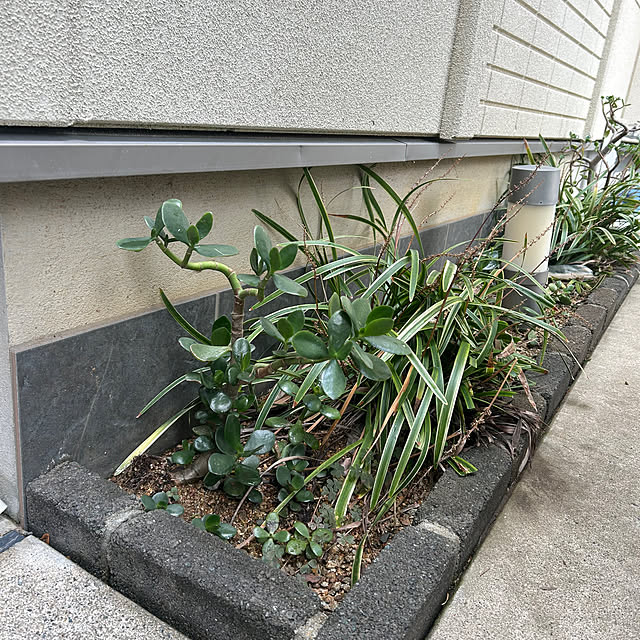 Momooさんの部屋