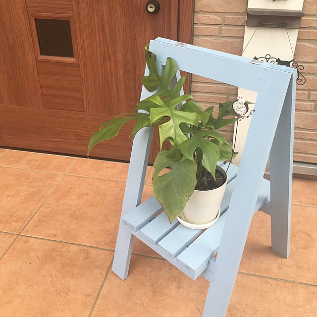 pinokoさんの実例写真