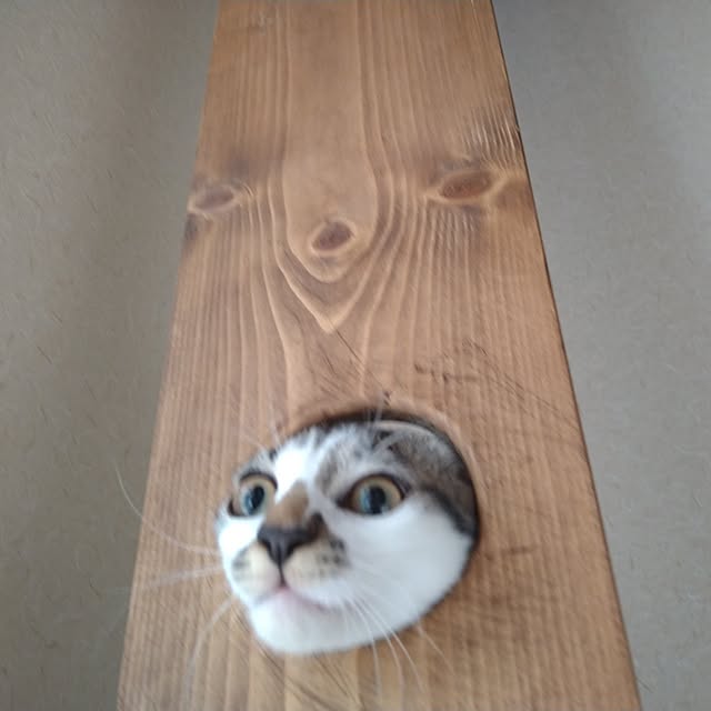 mikisunさんの部屋