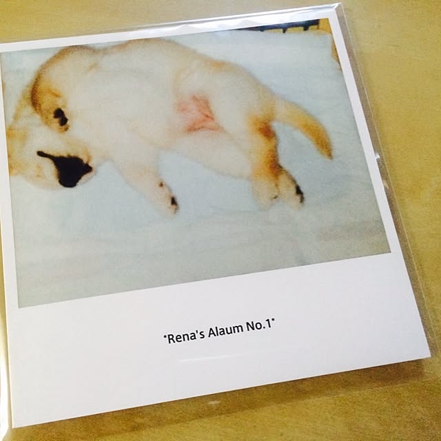 aimさんの実例写真