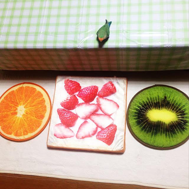 aoinokimiさんの実例写真