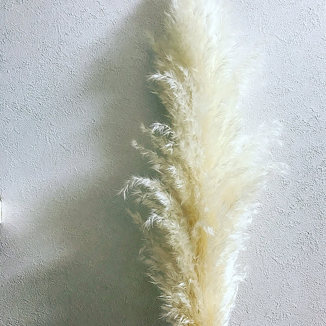 Mayukaさんの実例写真