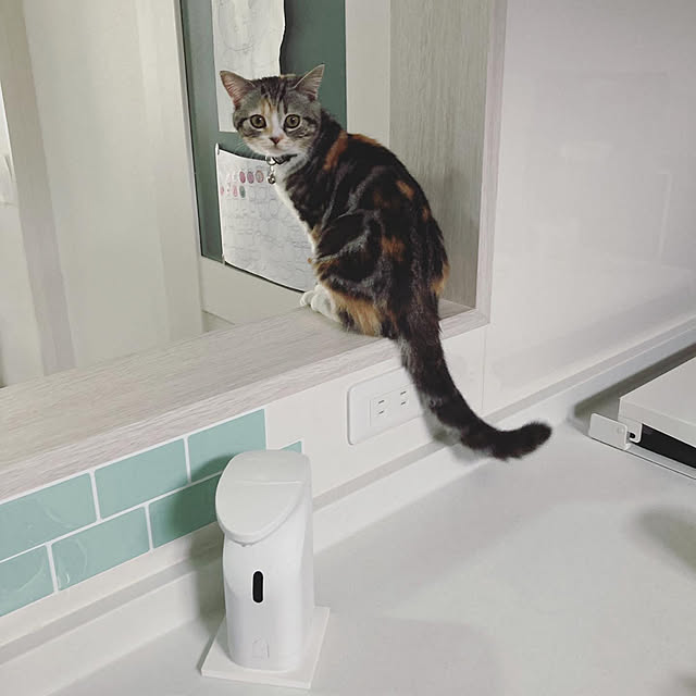mouseさんの実例写真