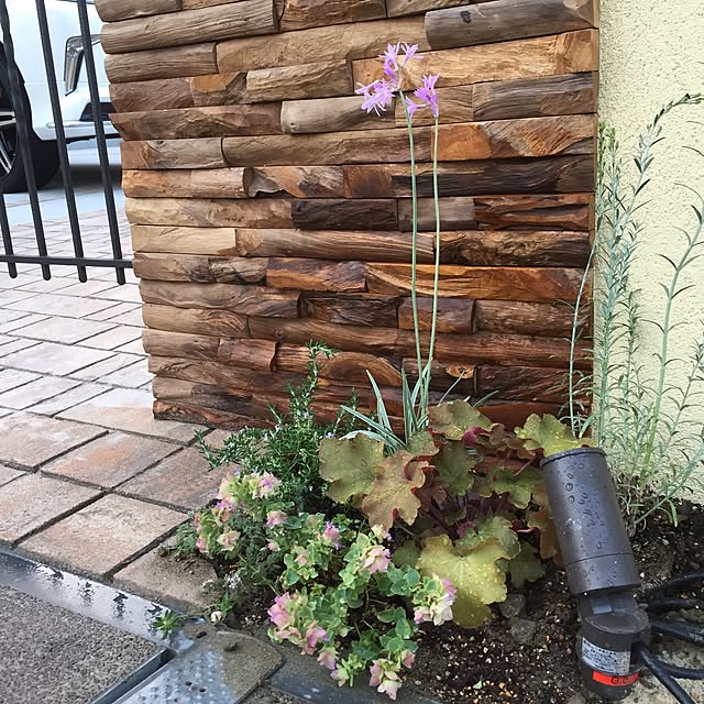 coeriさんの実例写真