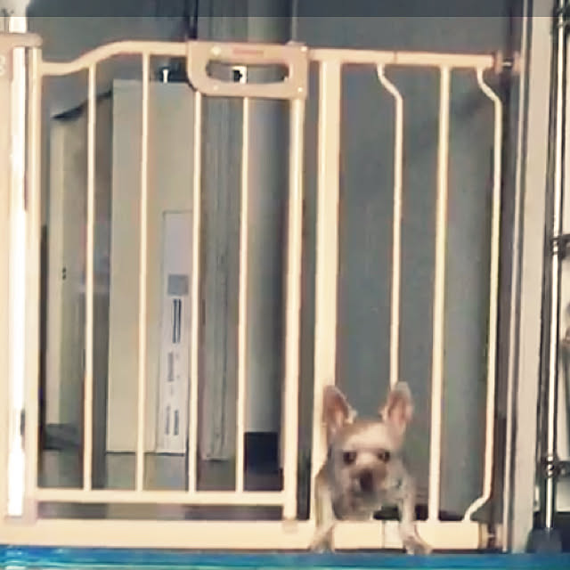 ohanaさんの実例写真