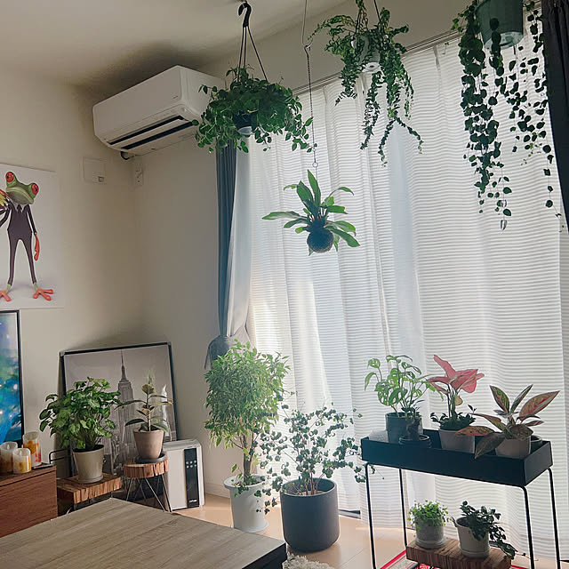 Nao56roomさんの実例写真