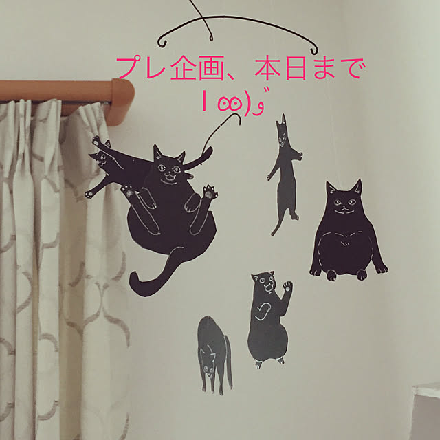 meguchiyoさんの実例写真