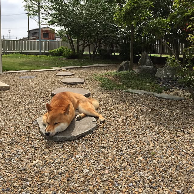 yasuさんの実例写真