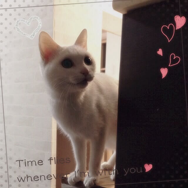 Maruさんの実例写真