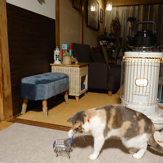 fukuさんの実例写真