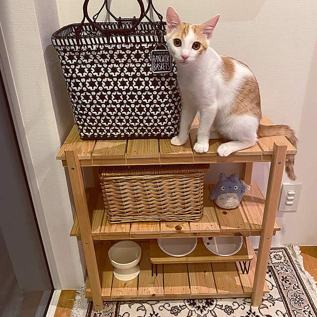 panchanさんの実例写真