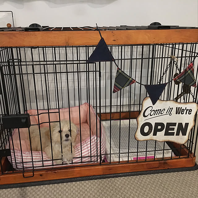 Mikaさんの実例写真