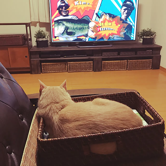 mikan161さんの実例写真