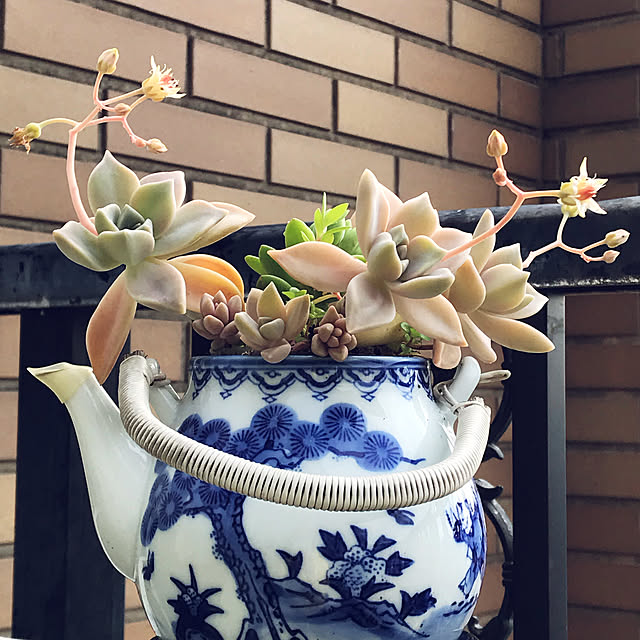 fuyiqian1026さんの実例写真