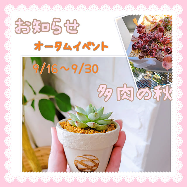 akimameさんの実例写真