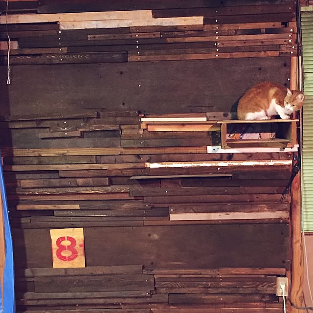kkbmkさんの実例写真