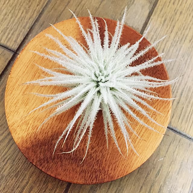dddf10さんの実例写真