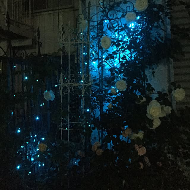 greenroseさんの実例写真