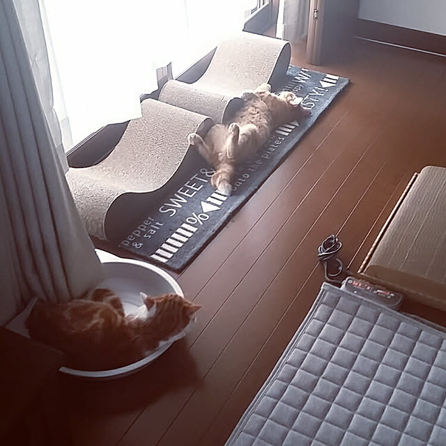 rapin8226さんの実例写真