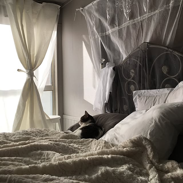 Shihoさんの実例写真