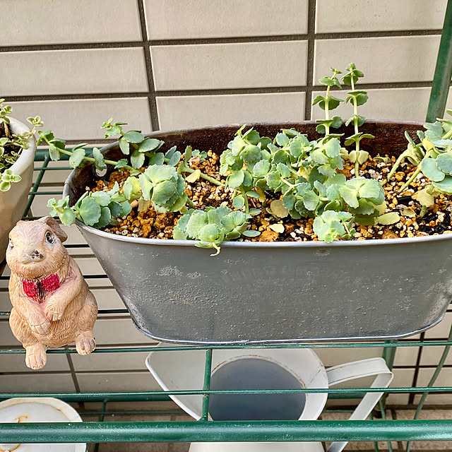 YuuKoさんの部屋