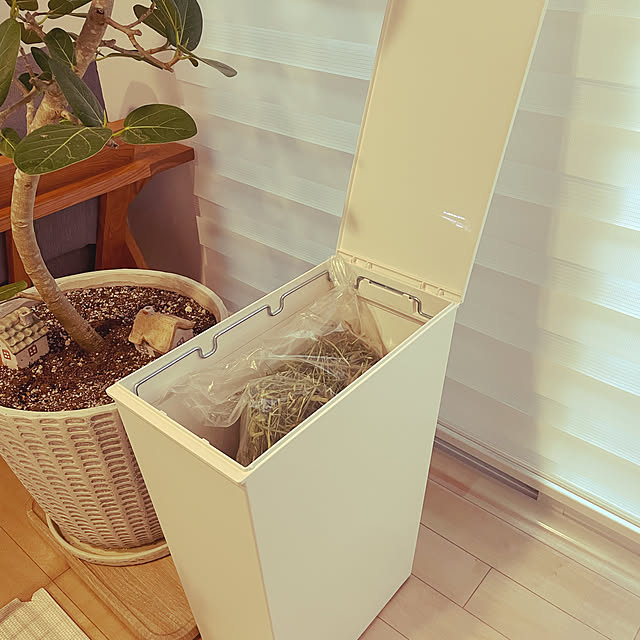 Moruさんの実例写真