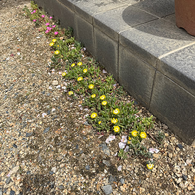 sakakenさんの実例写真