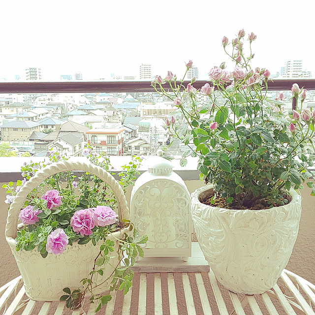 twinkle-butterfly38さんの実例写真