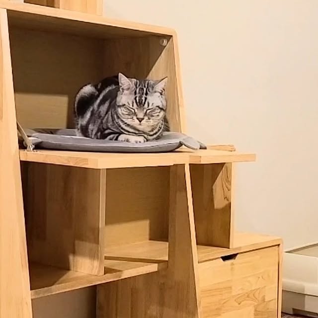 lovepeaceさんの部屋
