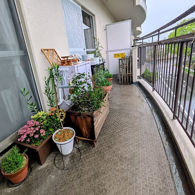 mi-saさんの部屋