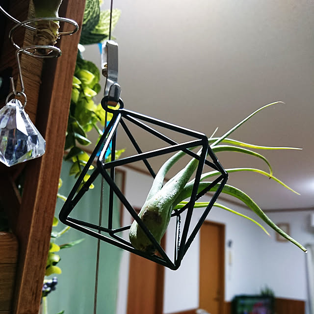 nachiさんの実例写真
