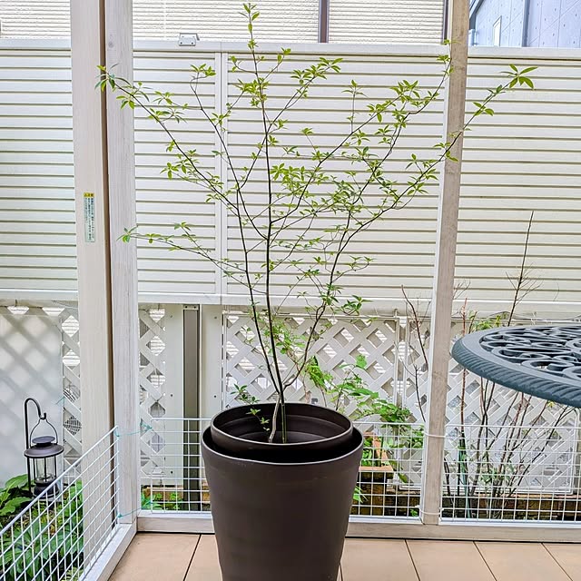 Bienvenueさんの実例写真