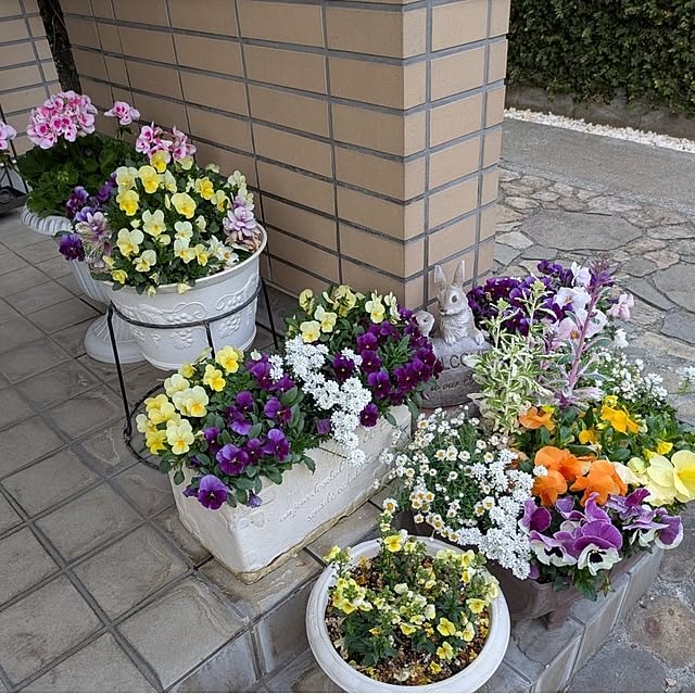 ku-garnet18さんの実例写真