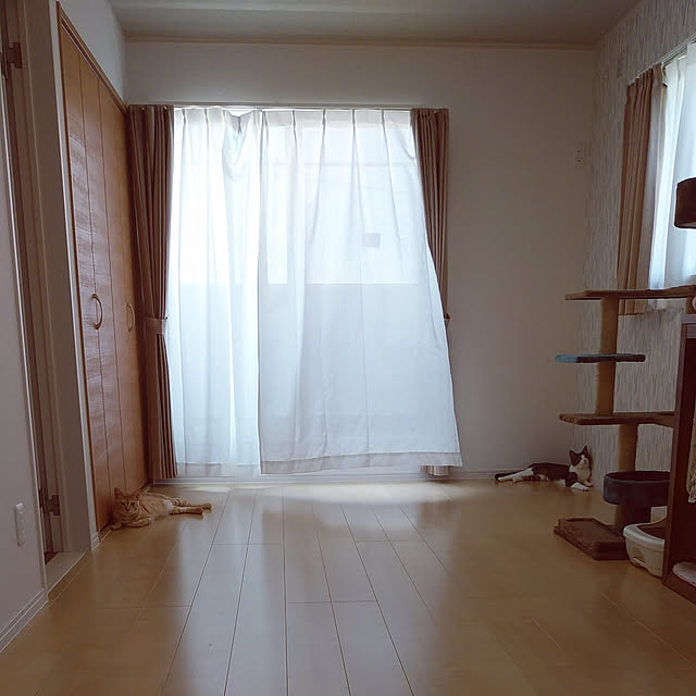 shiiiさんの実例写真