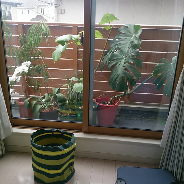 urchinさんの実例写真