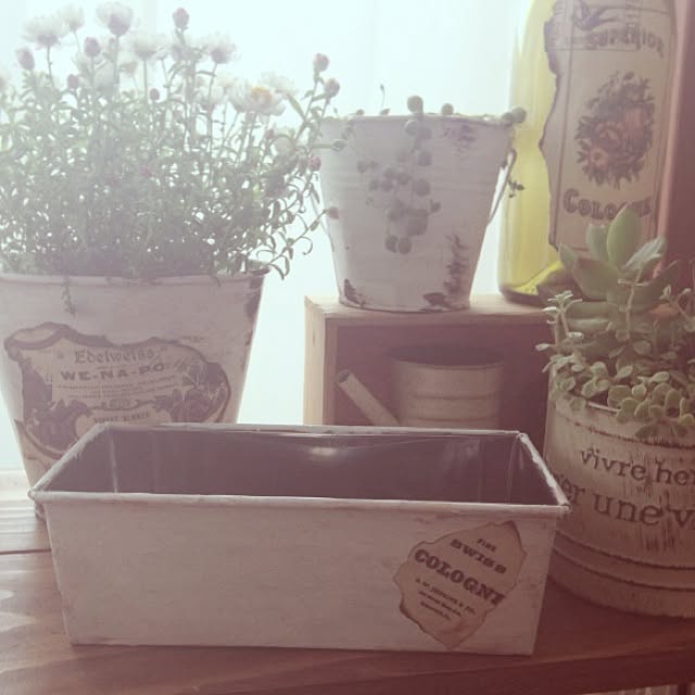 milkteaさんの実例写真