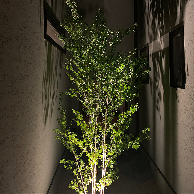 h_home.hさんの実例写真