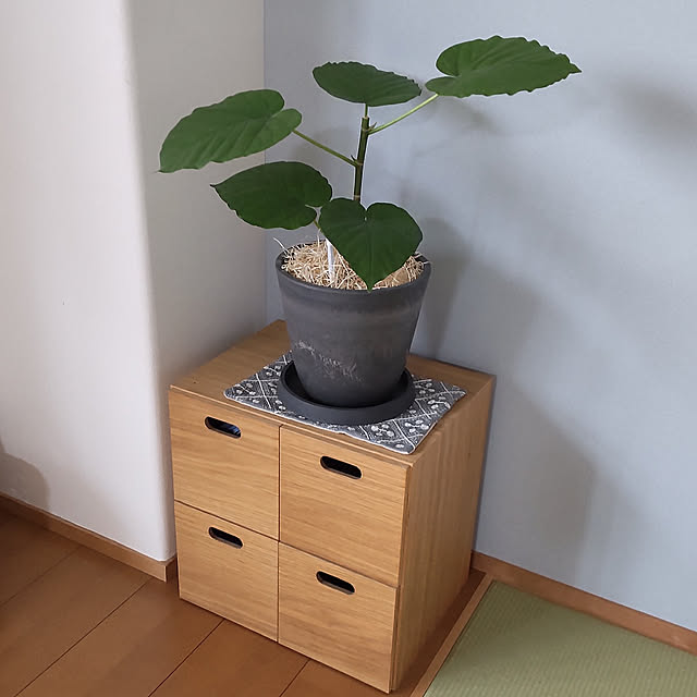 sakiさんの実例写真