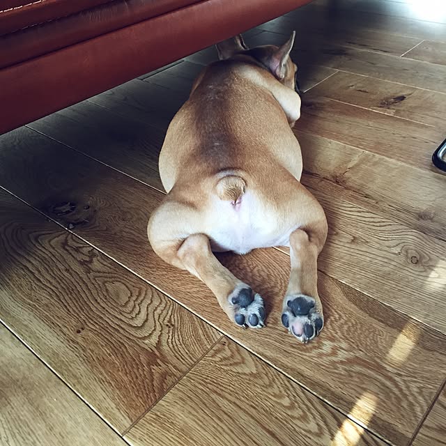 asamiさんの実例写真
