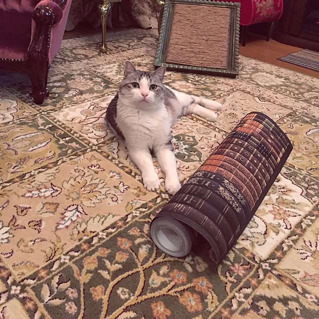 emmyyさんの実例写真