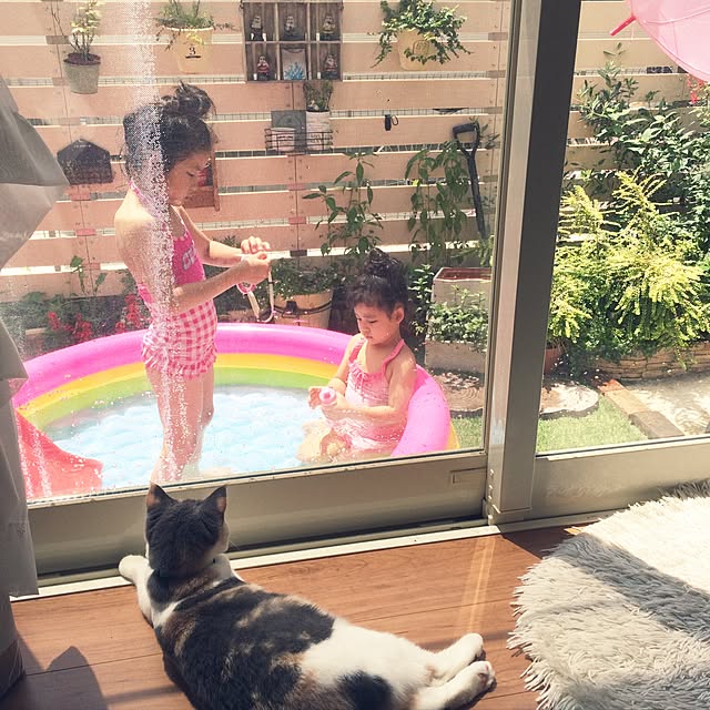 bambi_eyeさんの実例写真