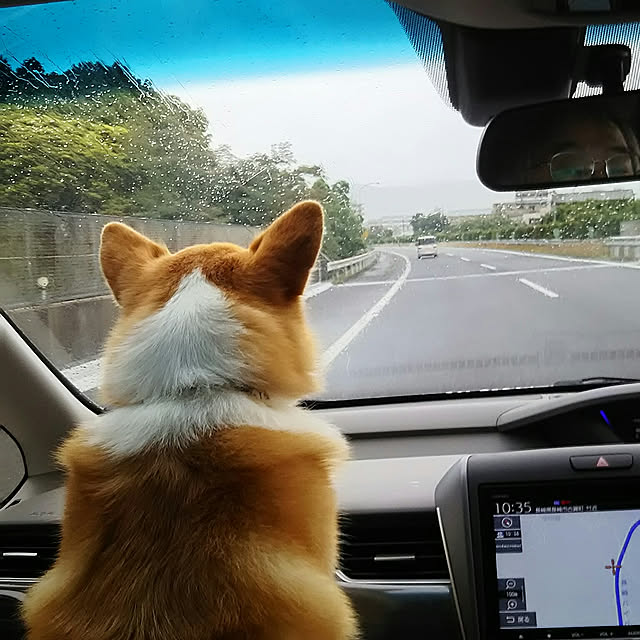 tenntennさんの実例写真