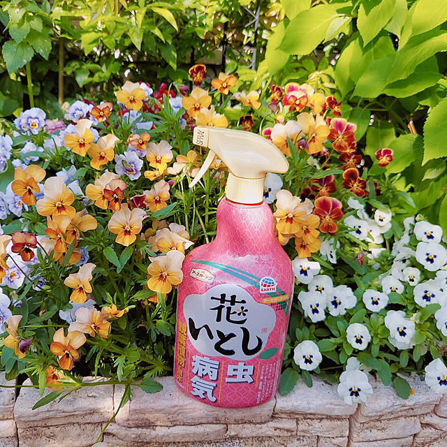 aikkoさんの実例写真