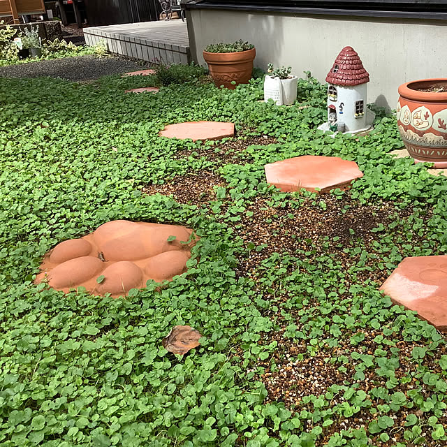 haruminさんの部屋