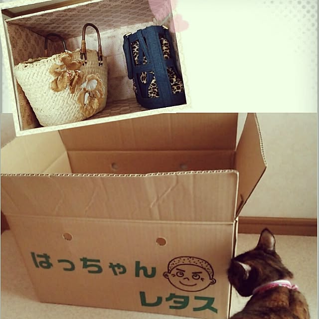 mcomcoさんの実例写真