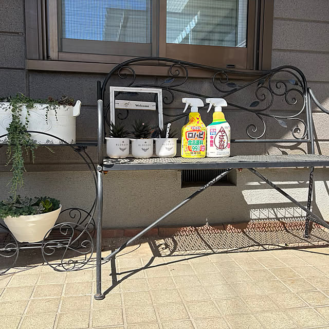 momocchiさんの実例写真